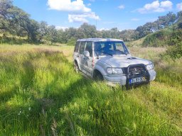 2025-05-09-SALAMANDRAIII